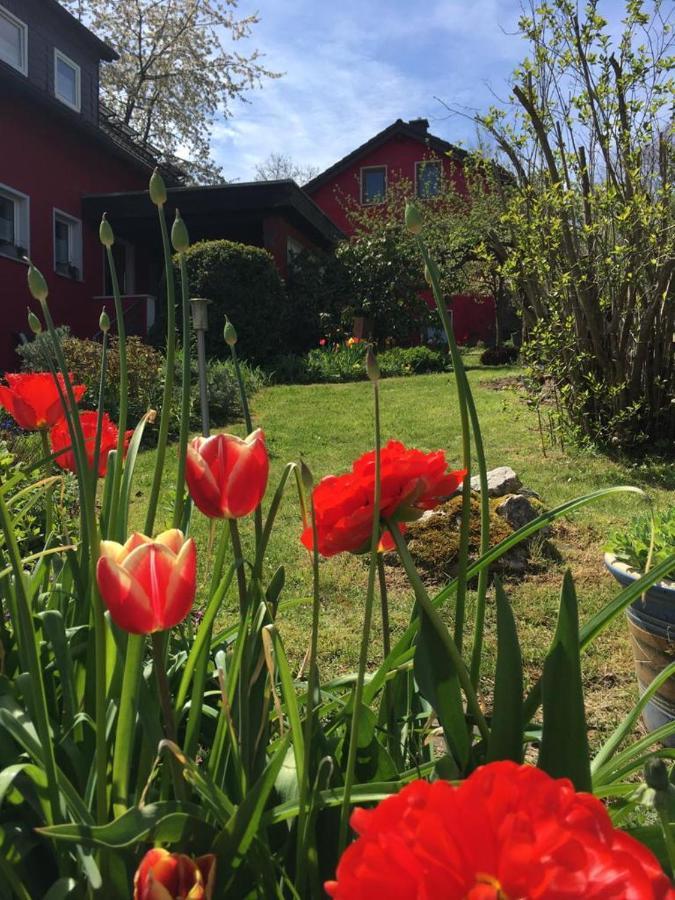 Ferienwohnung Auenthal Koditz Екстер'єр фото